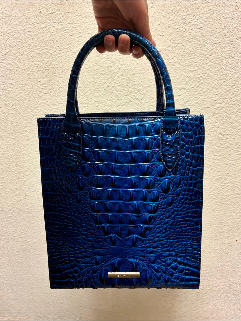 Brahmin Moira Sapphire Melbourne Leather Handbag